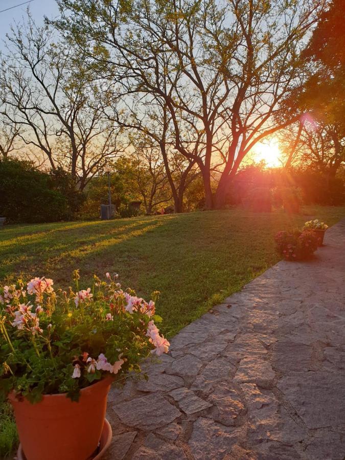 Agriturismo SaTanca Villa Arbus Esterno foto